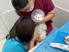 -北京恒爱动物医院(清景园分院)