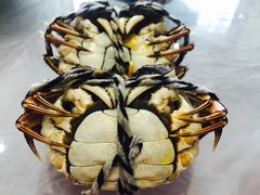 -丫丫蟹庄·苏式园林农家乐·阳澄湖大闸蟹(阳澄湖莲花岛店)