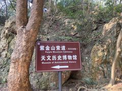 -紫金山山顶公园