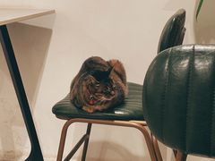-PAUSE CAFE(南秀村店)