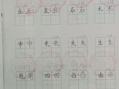 -赵汝飞练字硬笔书法(博泰国际校区)