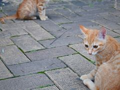 -苏州河梦清园环保主题公园