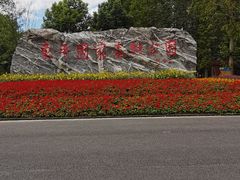 -东平国家森林公园