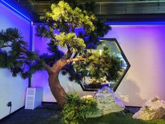 -绿茶餐厅(成都大悦城店)