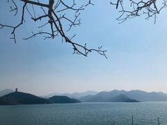 -望湖烤鱼