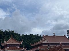 -深圳仙湖植物园