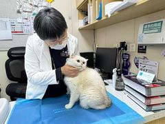 -美联众合爱康动物医院•复杂内科•肿瘤科•牙科•腔镜诊疗中心