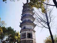 -苏州上方山国家森林公园
