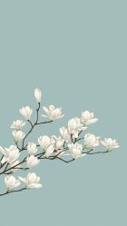 -成都苗方清颜专业祛痘