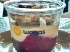 -Wagas沃歌斯(汇智店)