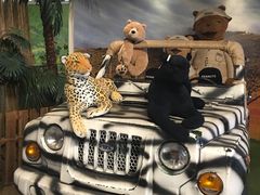 -济州岛泰迪熊博物馆