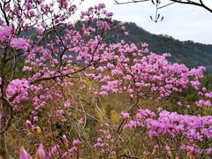 -岳西天峡风景区