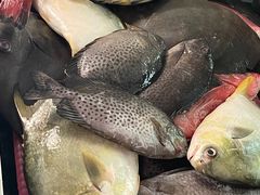 -第一家鲜鱼汤清真老饭店(回新路店)