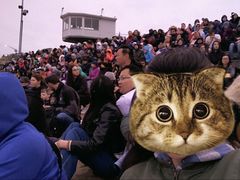 -企鹅岛