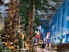 -青岛东方影都融创水世界