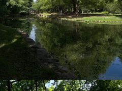 -上海共青森林公园