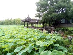 -高子水居