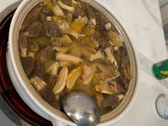 -蘑统田下·野生菌火锅