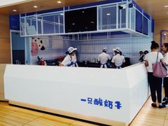 -一只酸奶牛(双流万达广场店)