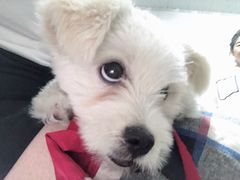 -华润苏果(金湖县金湖路店)