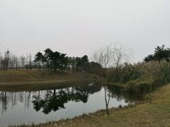 -眉山湿地公园(东坡区)