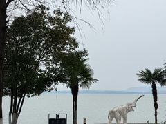 -湖滨客舍·湖北菜
