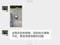 -波姐宠物家庭寄养