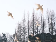 -音乐台