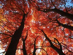 -香山公园-东宫门售票处