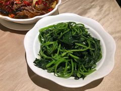 -张记旺角食街(动物园店)