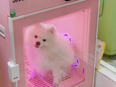 -乐琪宠物医院·犬猫专科·骨外科·急重症