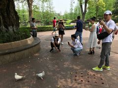 -东部华侨城