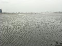 -东疆建设开发纪念公园