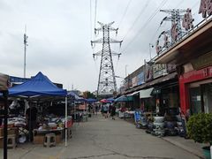 -中环花鸟鱼虫市场