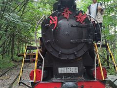 -五营红松林海景区