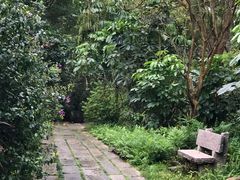 -龙山酒店温泉