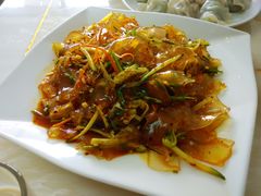 东北大拉皮-福园东北菜饺子铁锅炖
