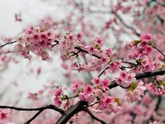 -静安雕塑公园