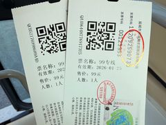 -盐城丹顶鹤湿地生态旅游区