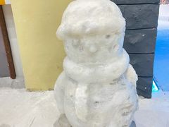 -世界之窗阿尔卑斯冰雪世界