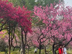 -洛阳市隋唐城遗址植物园
