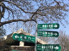 -紫金山索道-售票处