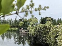 -三垟湿地