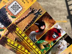 -哈尔滨北方森林动物园