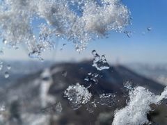 -紫金山山顶公园