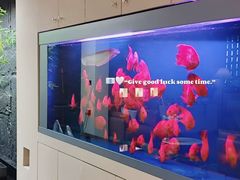 -宫七SPA·高端Massage(浦东大道店)