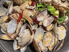 -前海沿·青岛菜(大拇指广场石老人店)