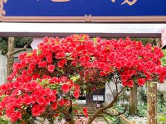 -惠山古镇·寄畅园