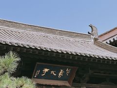 -善化寺