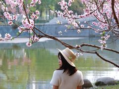 -月湖风景区